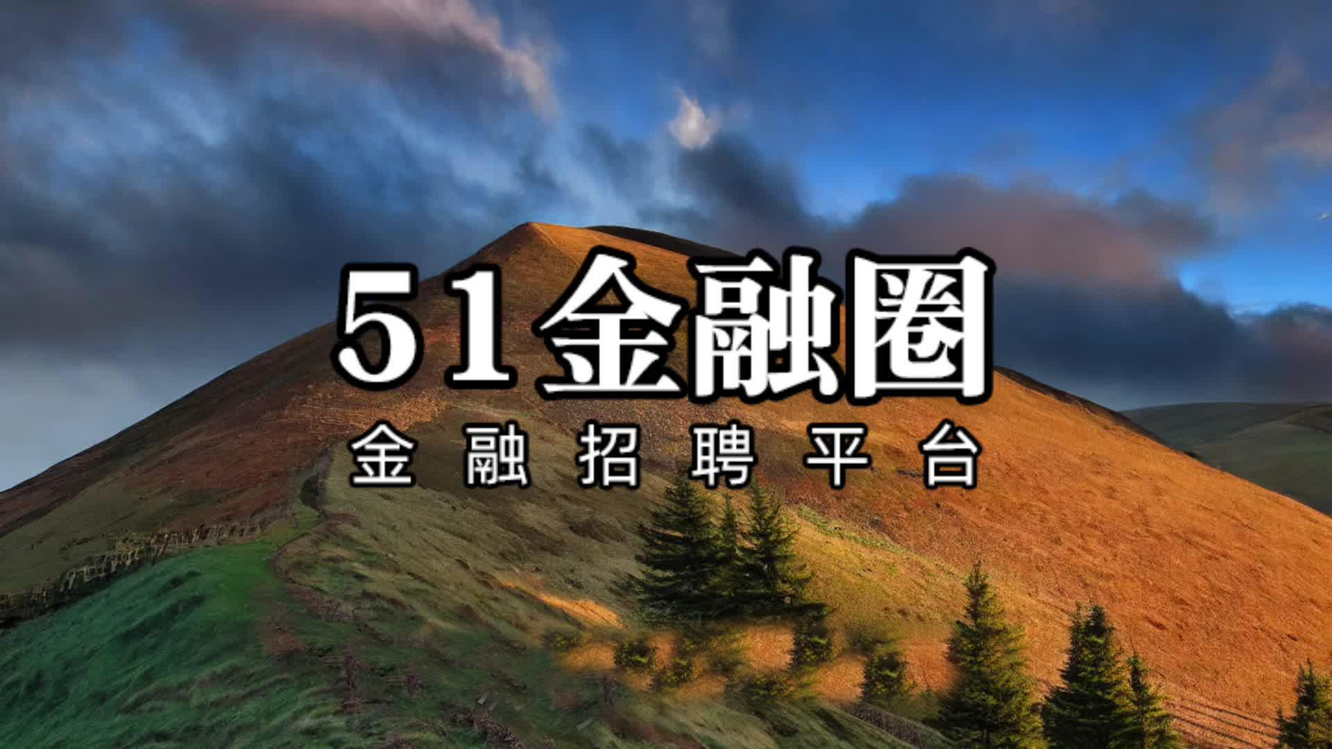 上海基金公司招聘网